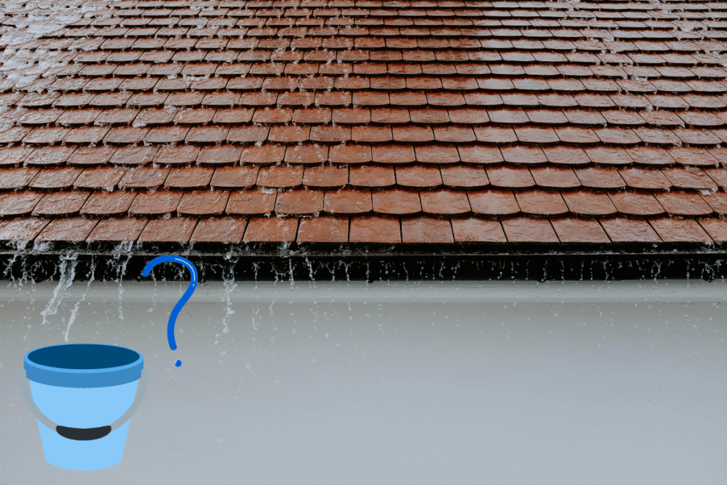 Comment j’ai récupéré l’eau de pluie pour mon jardin ?