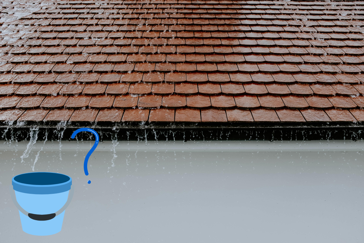 Comment j’ai récupéré l’eau de pluie pour mon jardin ?