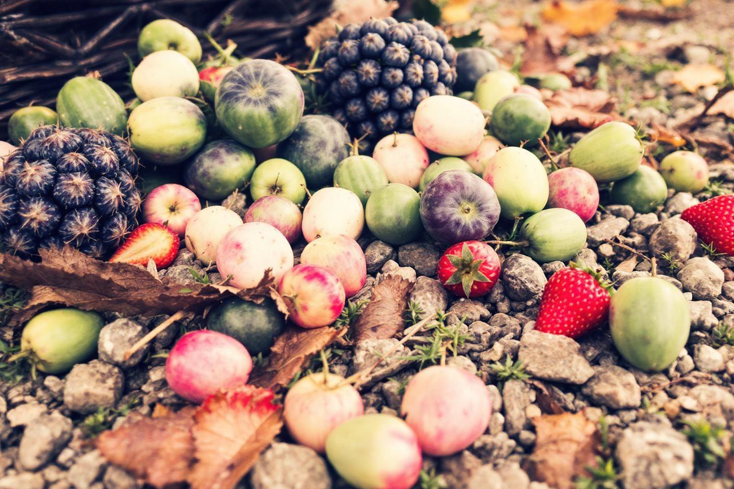 Mélange de fruits colorés dispersés sur des cailloux